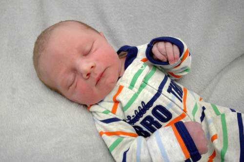 Holden Carey