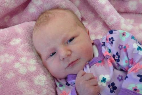 Kaydence Jo