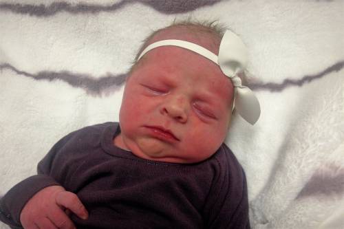 Harper Katy