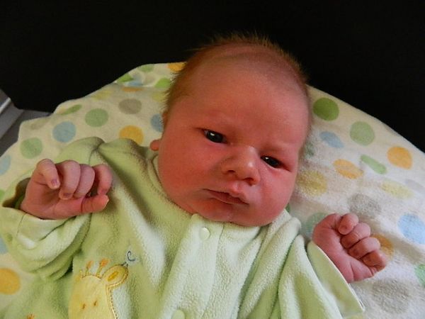 Colton William