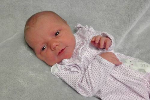Harper Kay