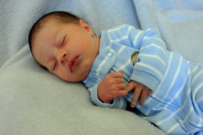 Grady David
