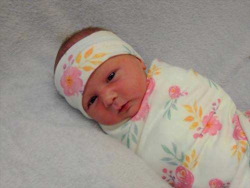 Haley Ann