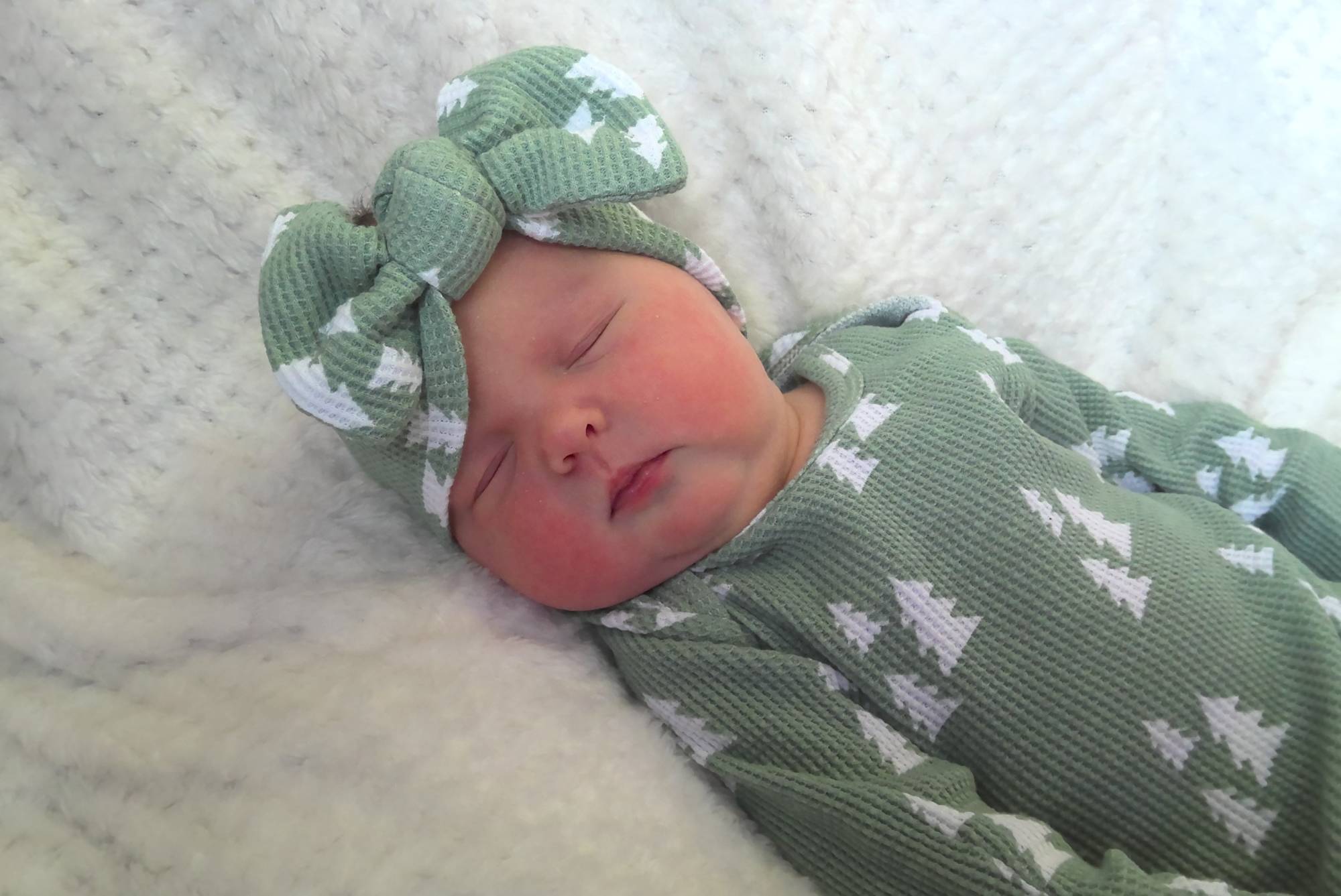 Quinn rose