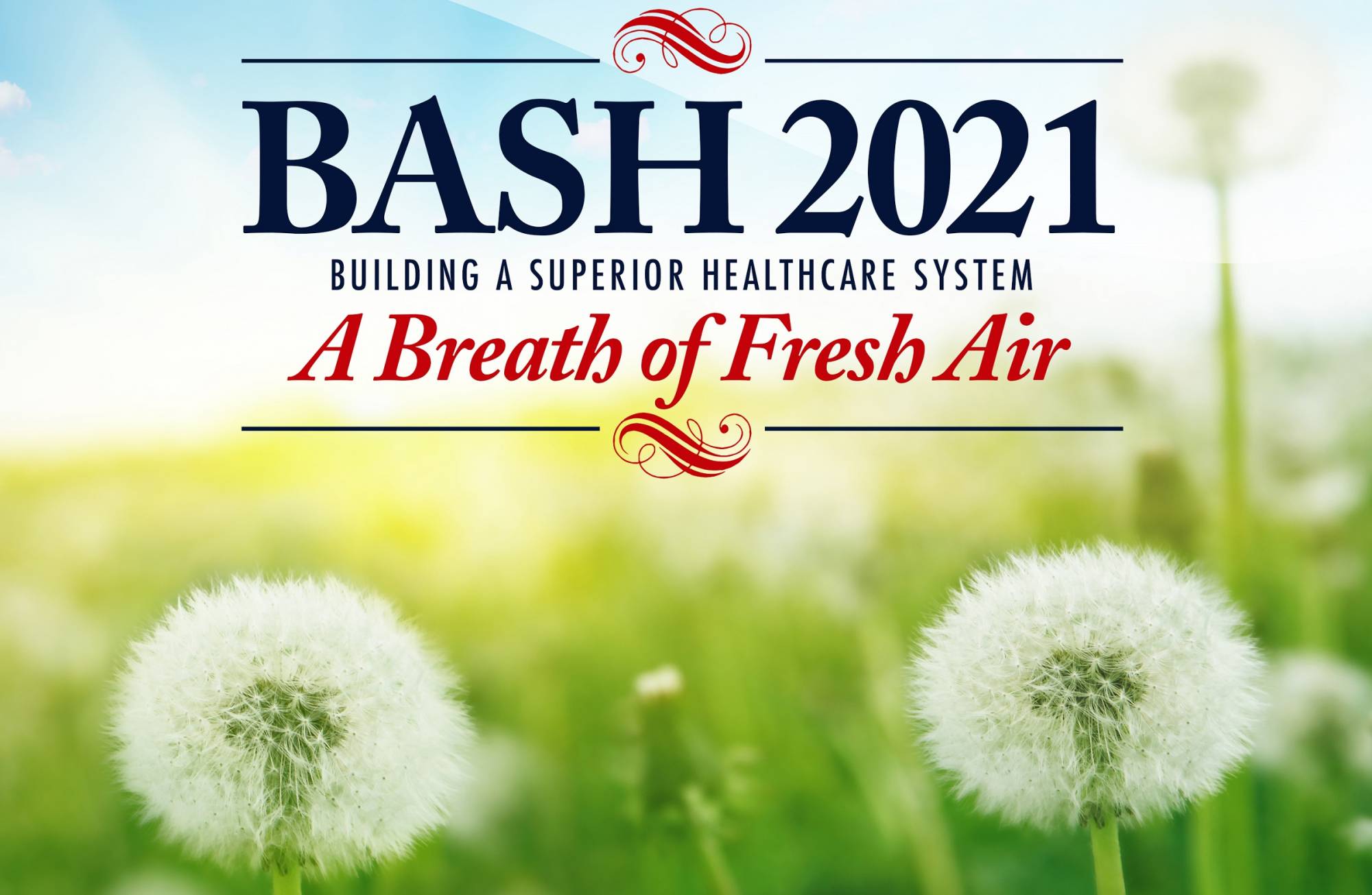 BASH, A Breath of Fresh Air