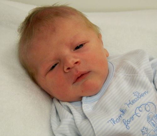 Noah Lynn