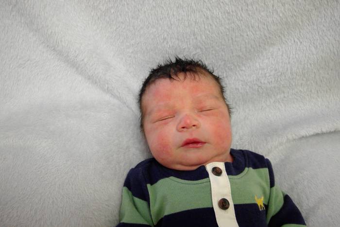 Camden Alan