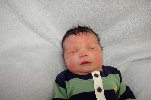 Camden Alan