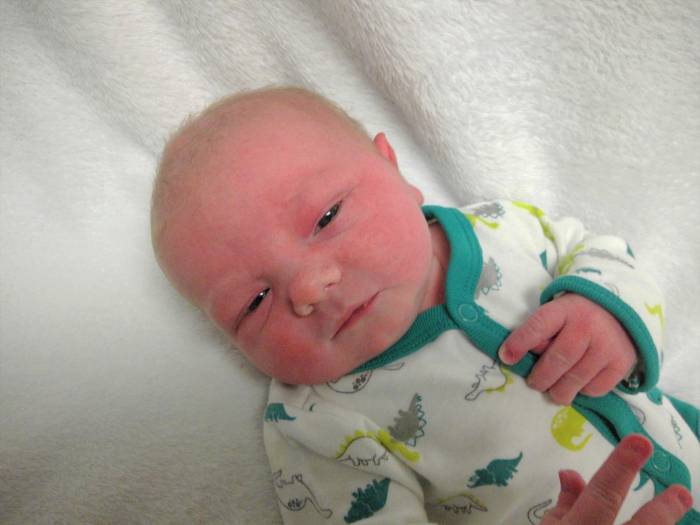 Grayson Dale