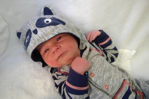 Brody Alan
