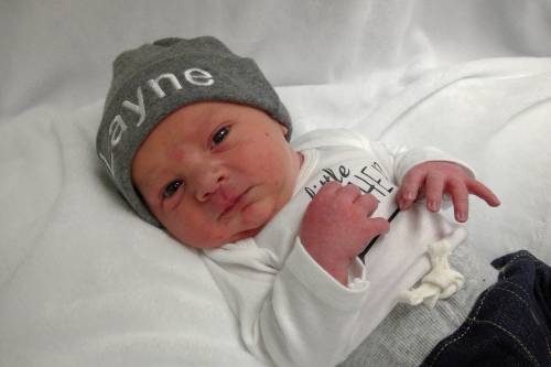 Layne Lloyd