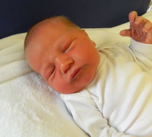 Hudson Grover