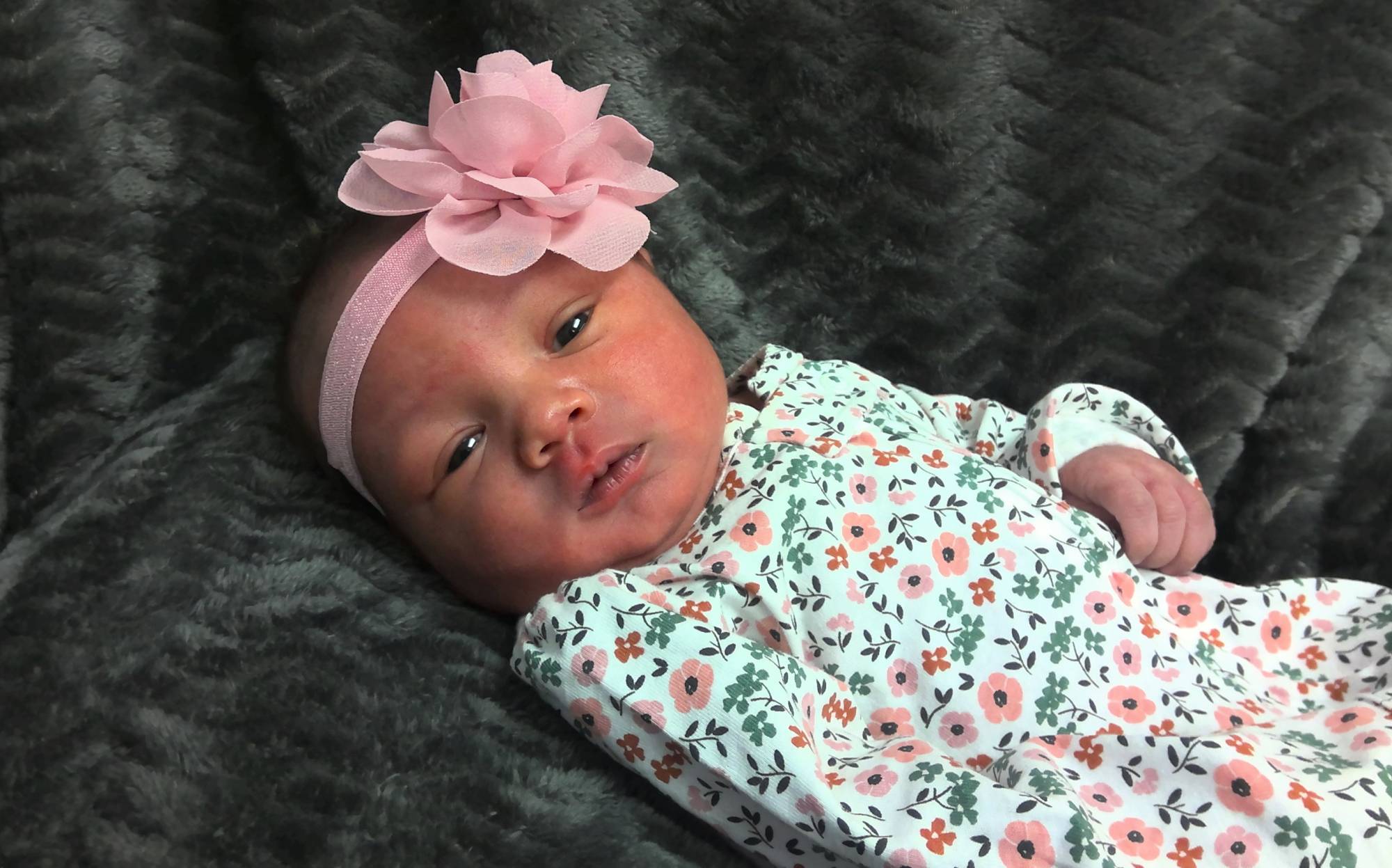 Novalee Rose