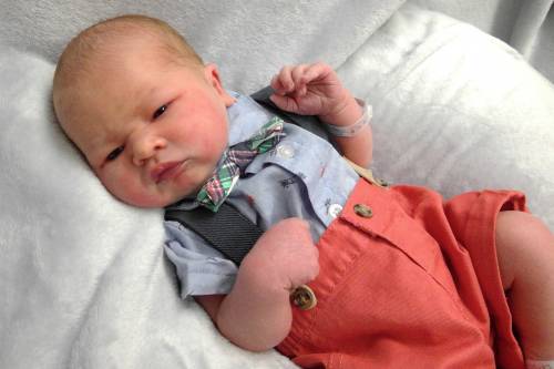 Bexton Gregory