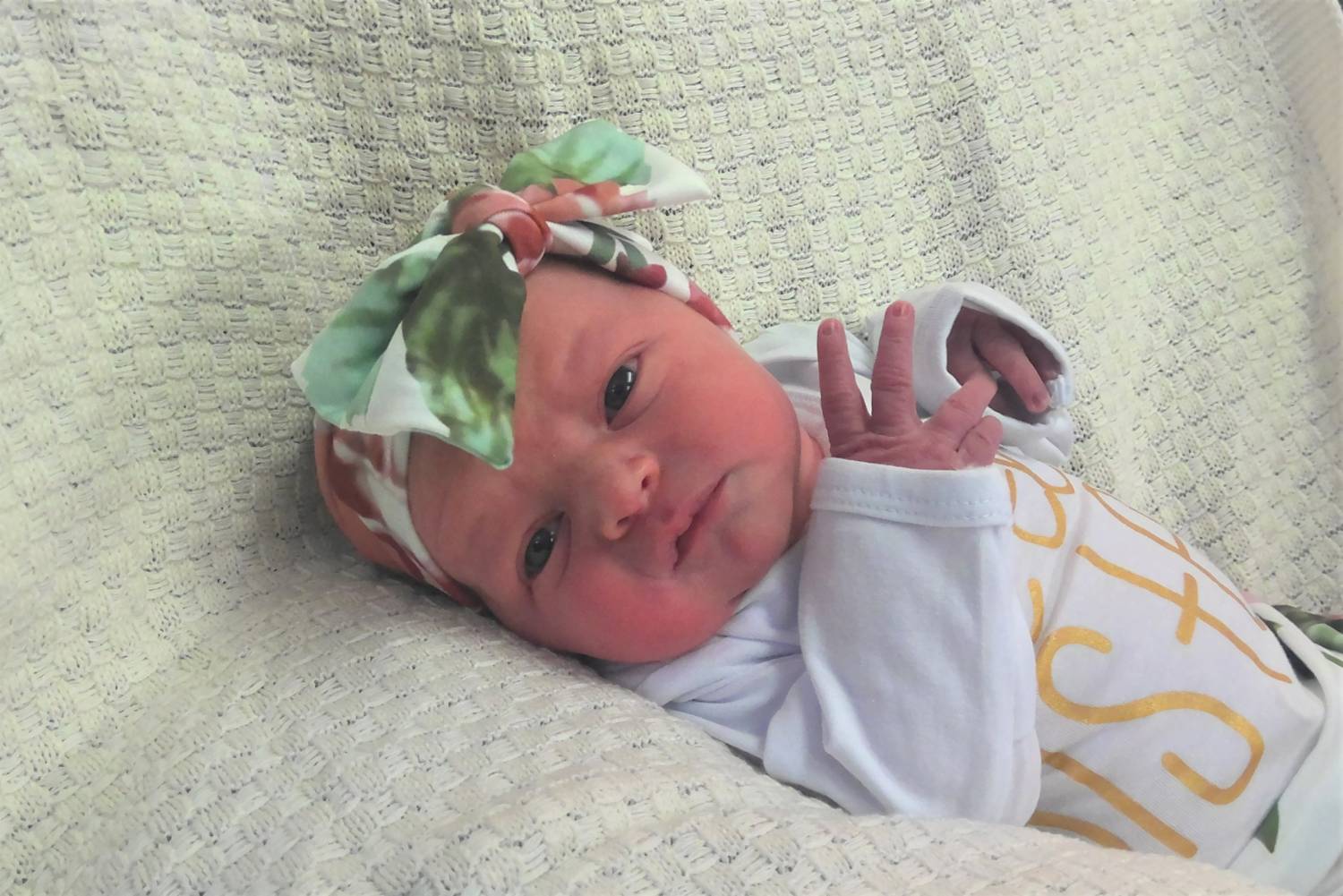 Emersyn Lee