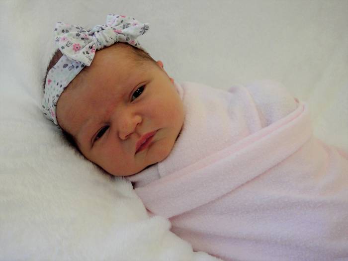 Presley Karyn