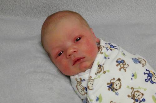 Brayven Randy-Joseph