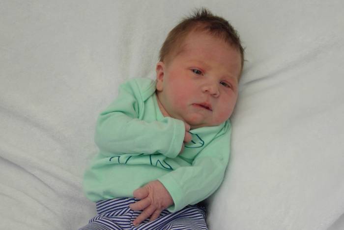 Abigail Faith