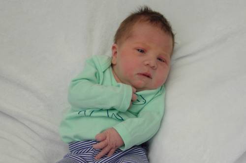 Abigail Faith