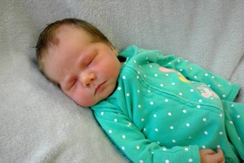 Saylor Helen