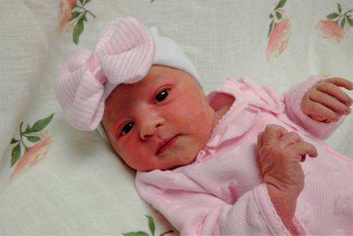 Laney Luella