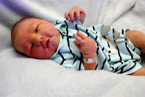 Abe Matthew