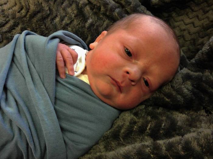 Mylo Terrance