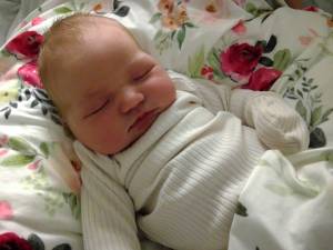 Isla Sophia