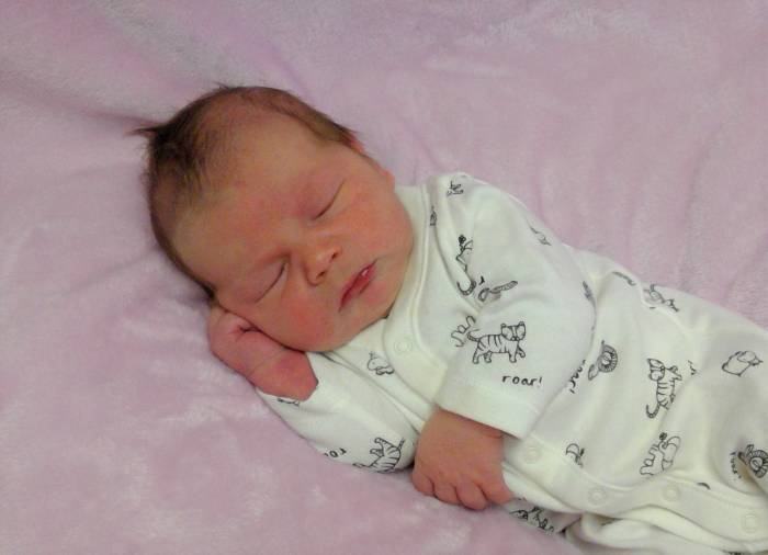 Stella Mae