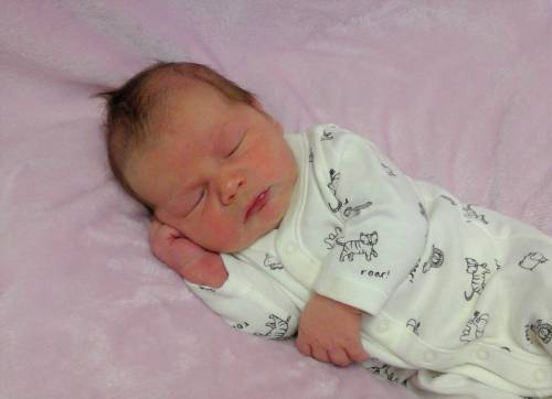 Stella Mae