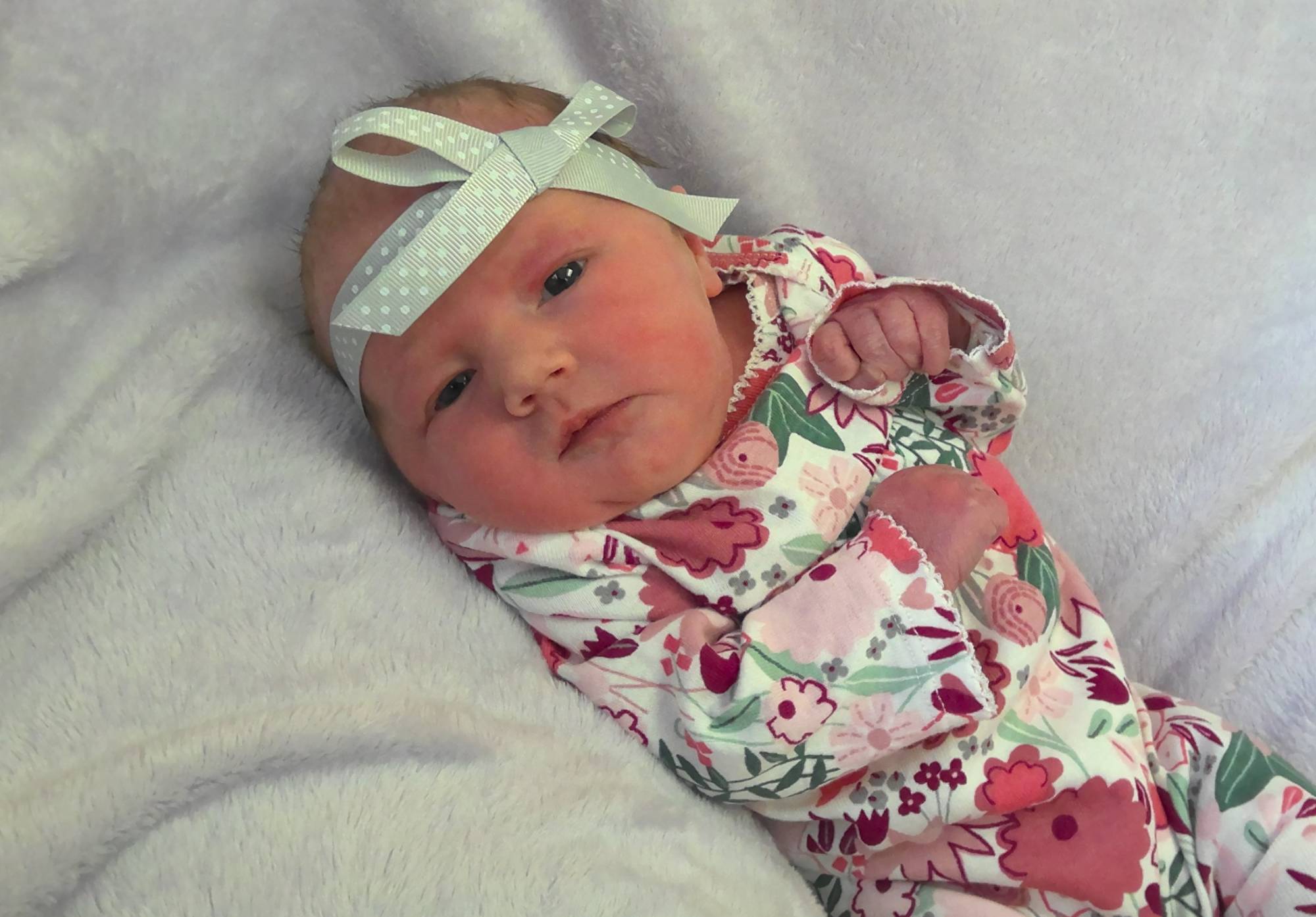 Willow Jean