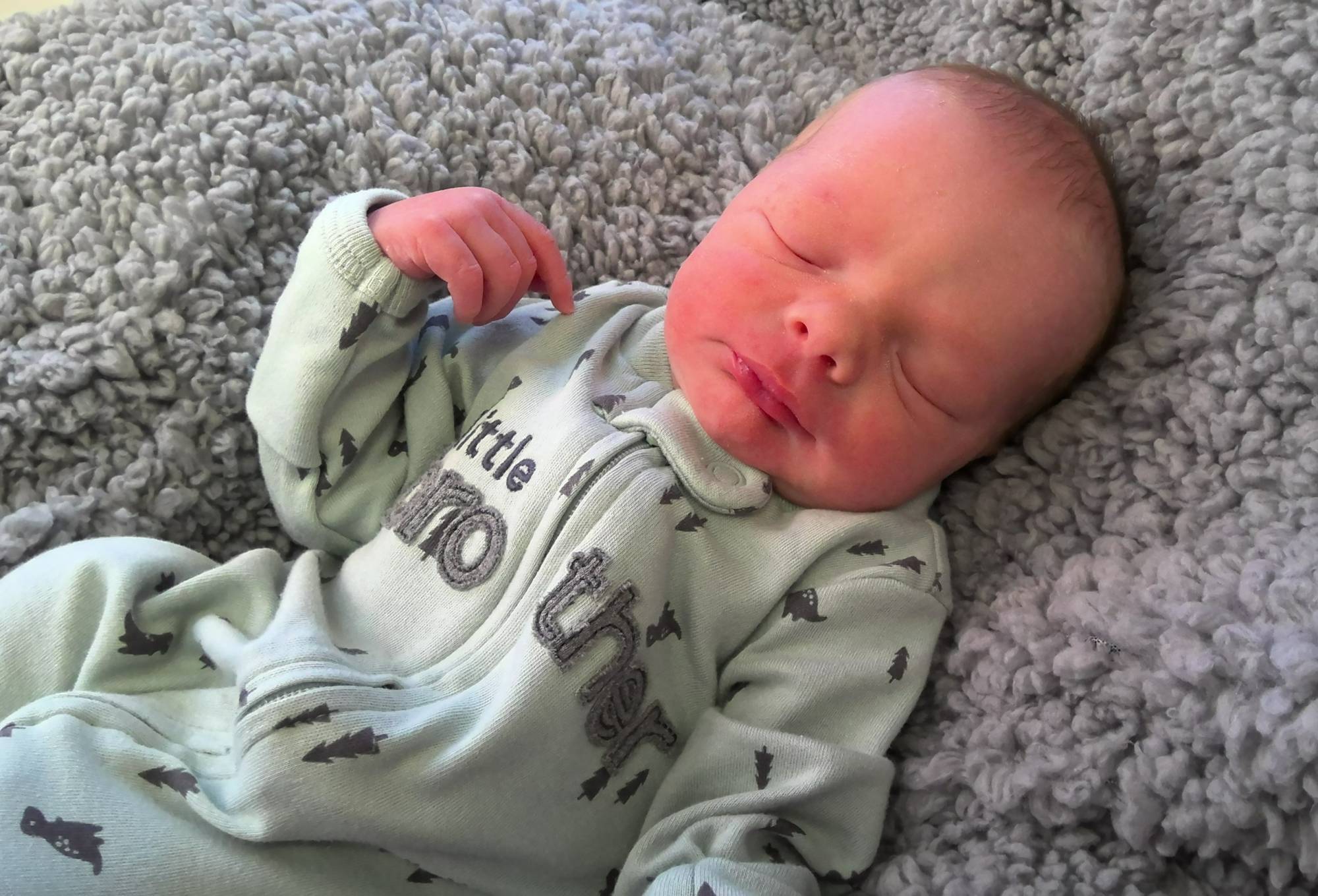 Brody Eric
