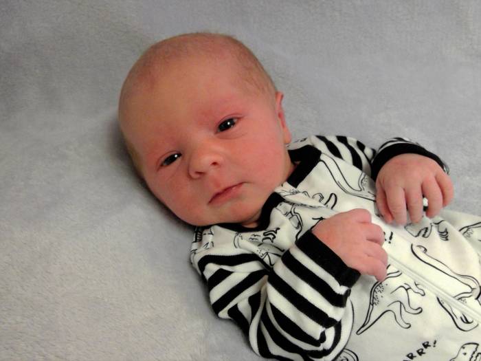 Chase Jeffrey