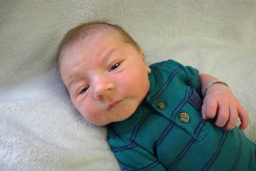 Stetson Ray