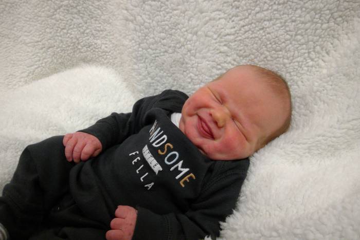Hayes David