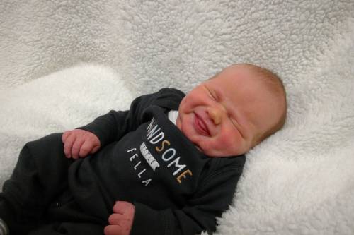 Hayes David