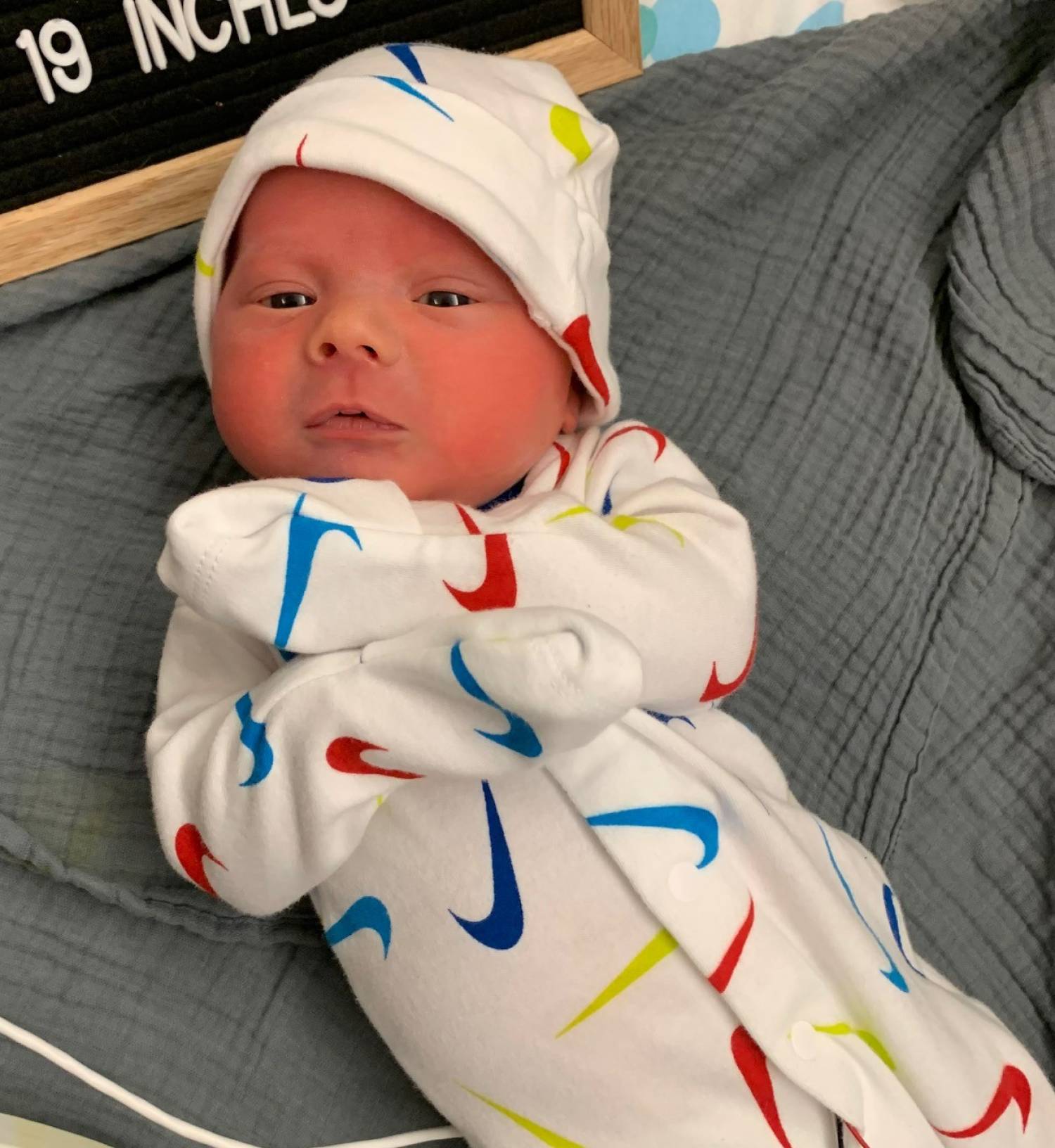 Maverick Milo