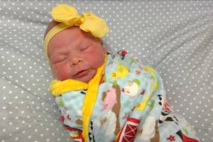 Riggin Rae