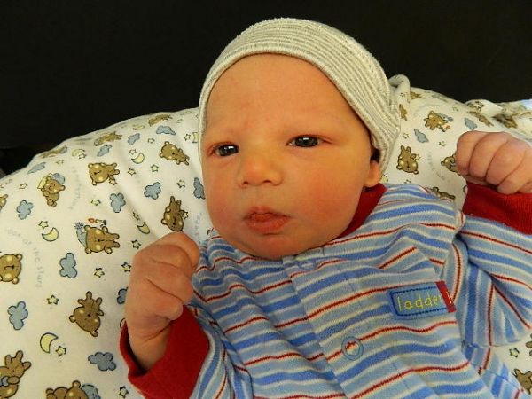 Finn Nicholas