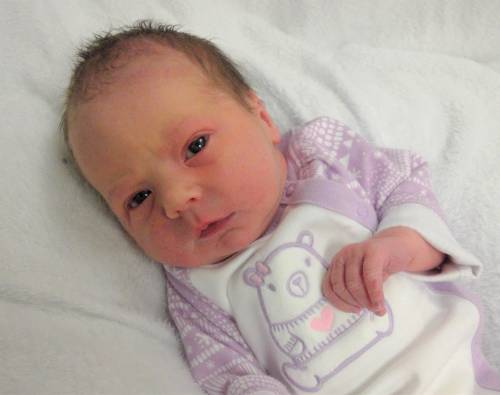 Rylee Anne