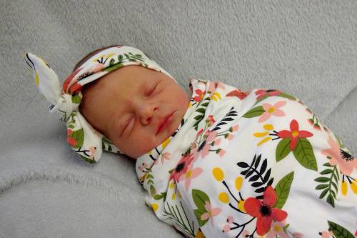 Gracyn Ellen