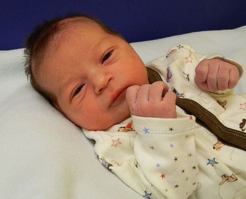 Reo Michael