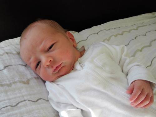 Owen Dale