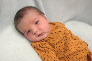 Nixon James