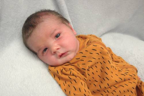 Nixon James