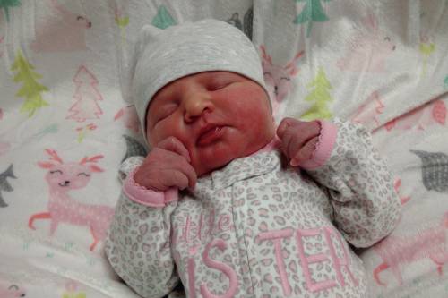 Everlee Faith
