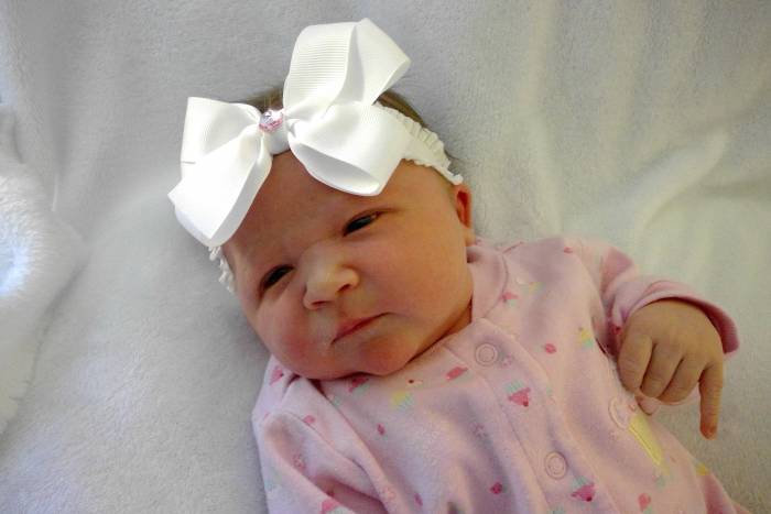 Laramie Briar