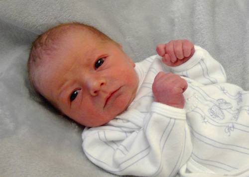 Waylon Chase
