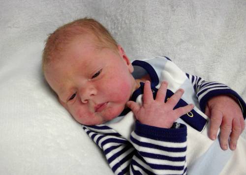 Finley James