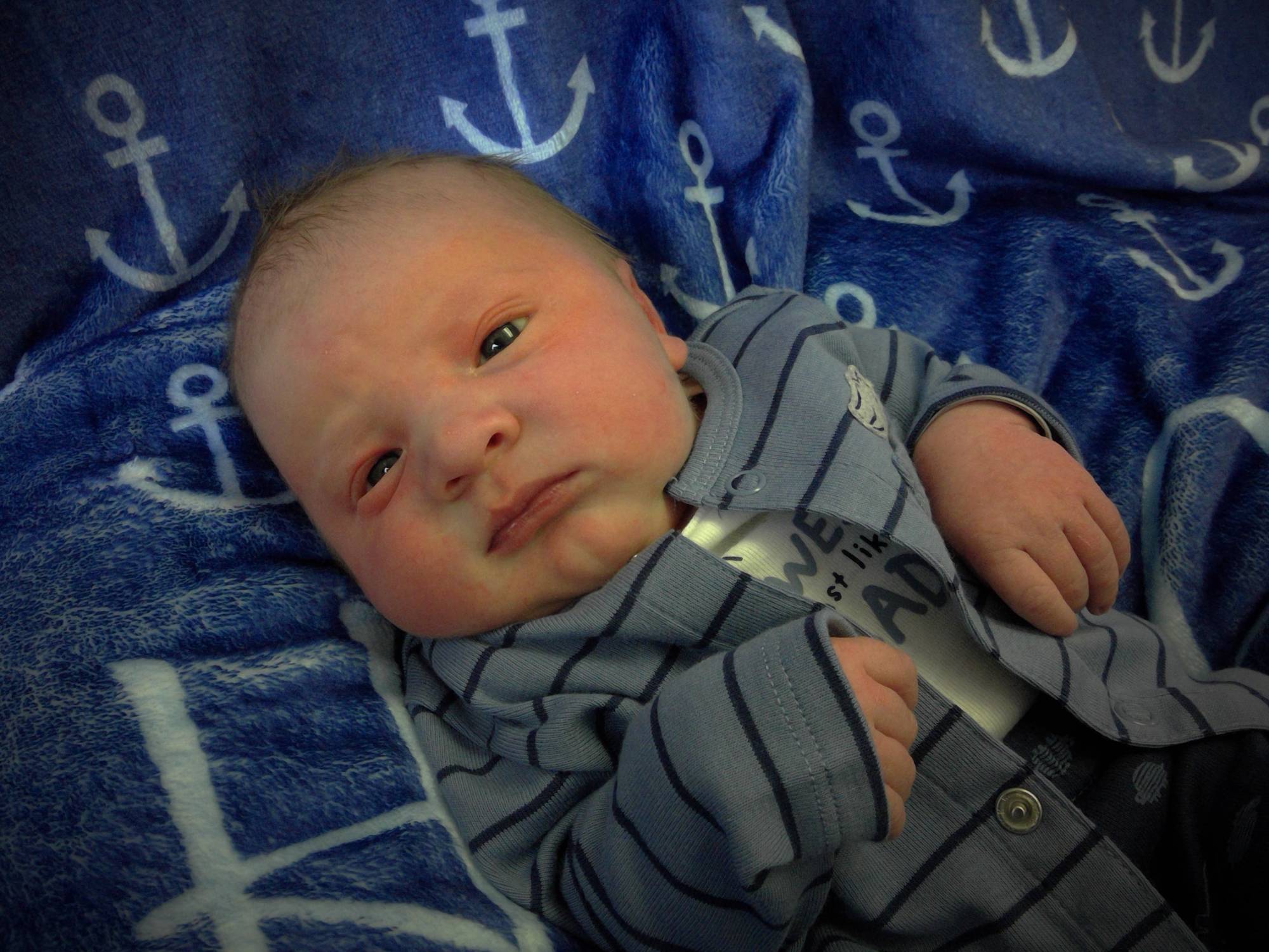 Holden Grey